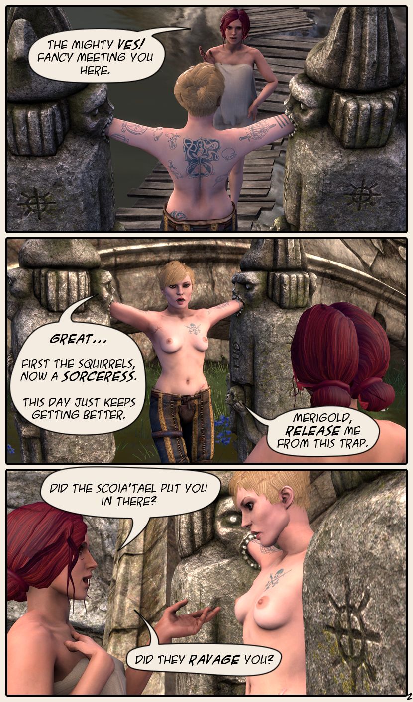 The witcher sex comics