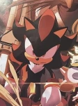 Shadow The Hedgehog