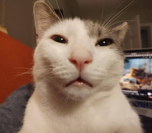 mrmanfrohan