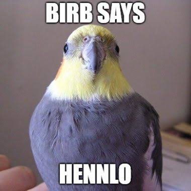 Watashi ga Suki na Hito | The One I Love (Anata to Dakara Shitai Koto)