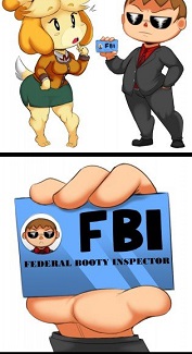 FBI (Federal Booty Inspector)