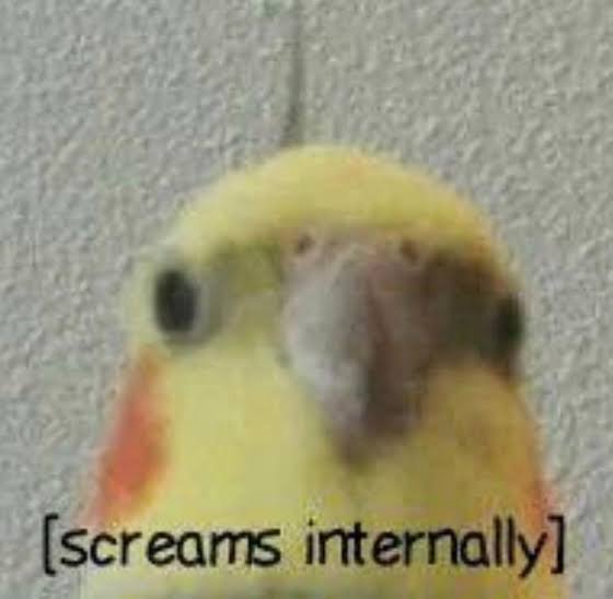 Kinjo no Tsuntsun Imouto to Muhyoujou Ane ni Semarare Ecchi