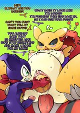 Renamon's Eggs and Other Things