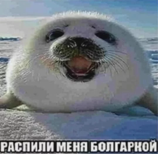 Tokuiten LR | Singularity LR