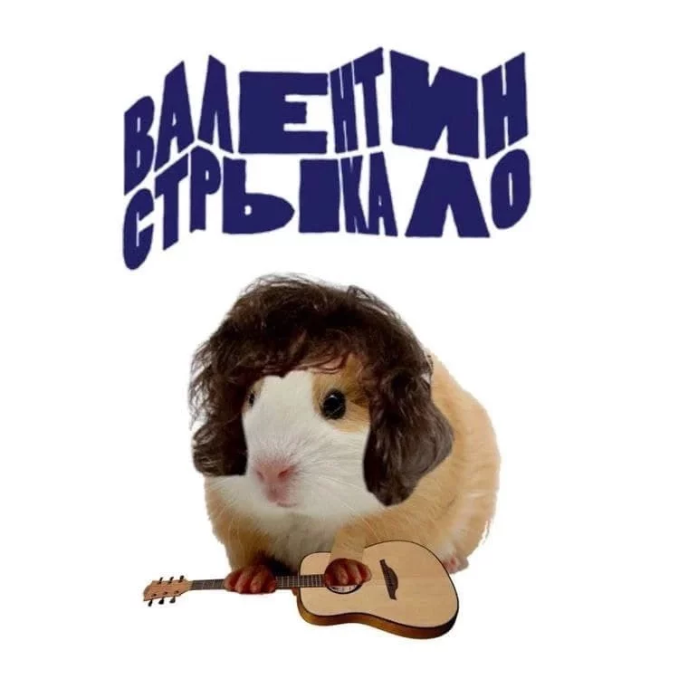 I Want to Cum on Fushikawa's Face