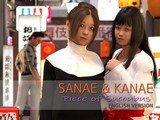 Sanae and Kanae -Piece of Succubus-