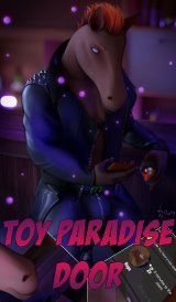 Toy paradise door
