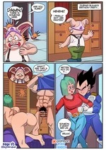 Bulma's Party