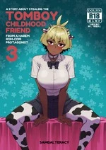 A Story About Stealing The Tomboy Childhood Friend From a Harem Rom-Com Protagonist 3