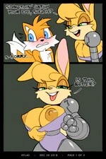 Tails x Bunnie