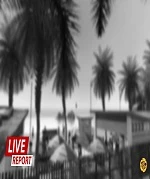 Live report
